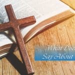What Does the Bible Say About Weakness?